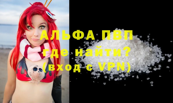 индика Медногорск