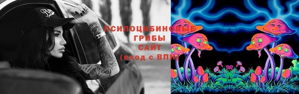 индика Медногорск