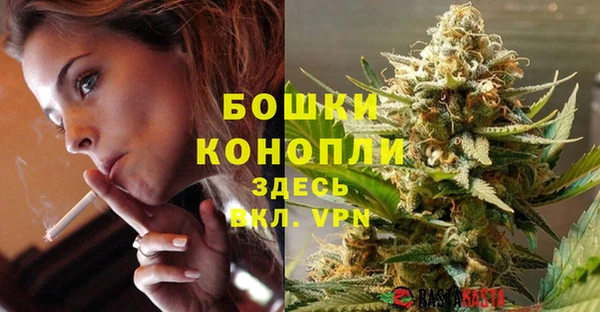 индика Медногорск
