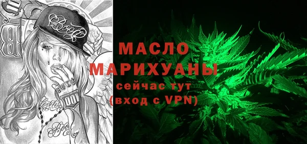индика Медногорск
