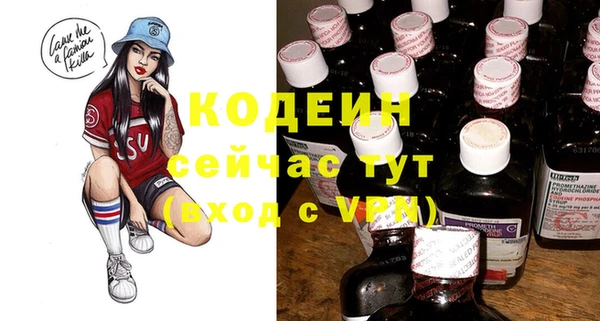 индика Медногорск