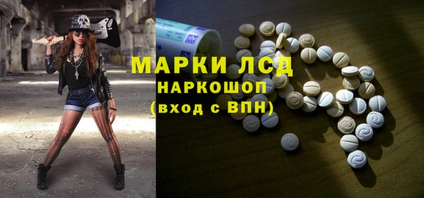 индика Медногорск