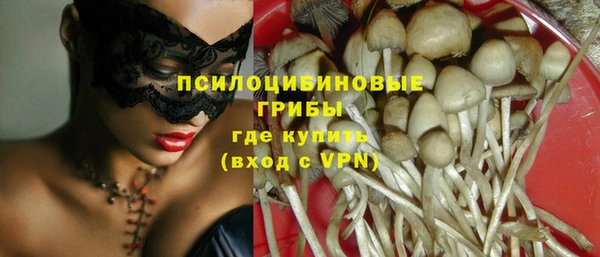 mdpv Мегион
