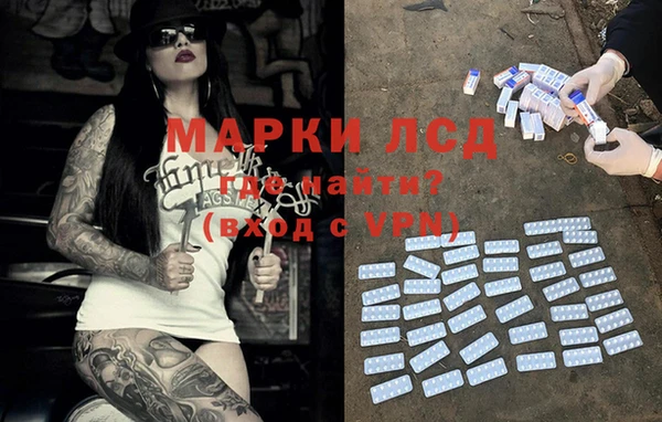 индика Медногорск