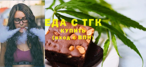 индика Медногорск
