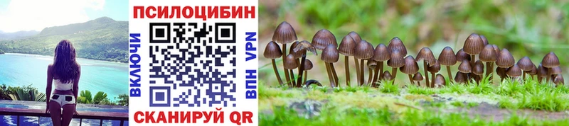 Галлюциногенные грибы GOLDEN TEACHER  Купить  Новокубанск 